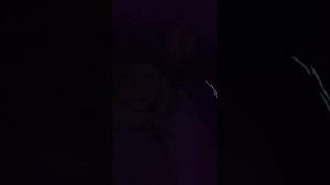 Съездили в гости.