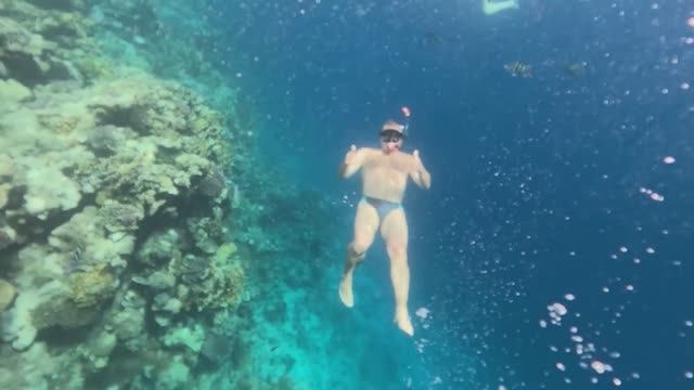 Египет в декабре и пенная вечеринка смотреть онлайн