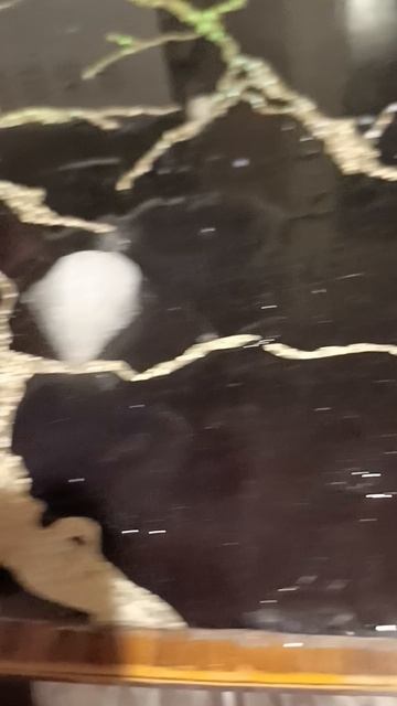 этот снег был подарок моей про бабушки которой настала из за этой вайны 😭 смотреть онлайн