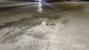 Ужас, встрясла все органы. На улице -34