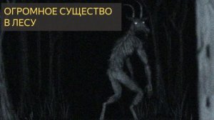 Огромное существо в лесу (Мистическая история, поход, военные)