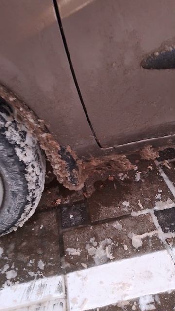Чуть проедешь и опять налипает снега на подкрылки в мороз смотреть онлайн
