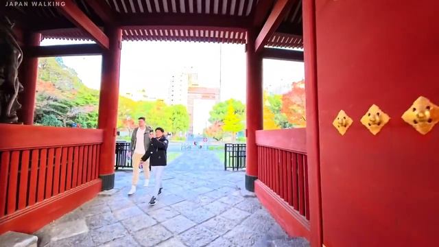 Tokyo Tower Autumn City Walk through Shiba Park and Zojoji