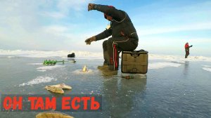 ЧТО ТВОРИТСЯ ПОДО ЛЬДОМ?! ОКУНЬ НА БАЛДУ.