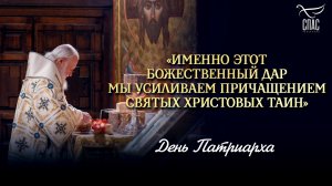 «Именно этот Божественный дар мы усиливаем причащением Святых Христовых Таин» / День Патриарха