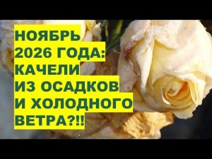 Ноябрь 2026: Какая будет Погода? Прогноз Раисы Горяченко
