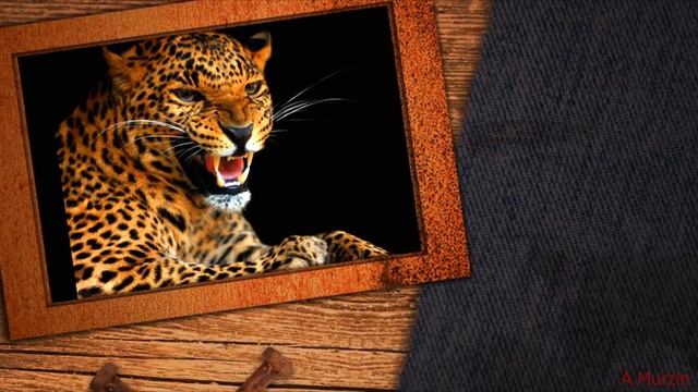 2Illusions - Spring Day смотреть онлайн