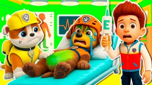 ЗУМА СИЛЬНО БОЛЕН! РАЙДЕР СТАЛ ВРАЧОМ в МАЙНКРАФТ ЩЕНЯЧИЙ ПАТРУЛЬ МУЛЬТИК