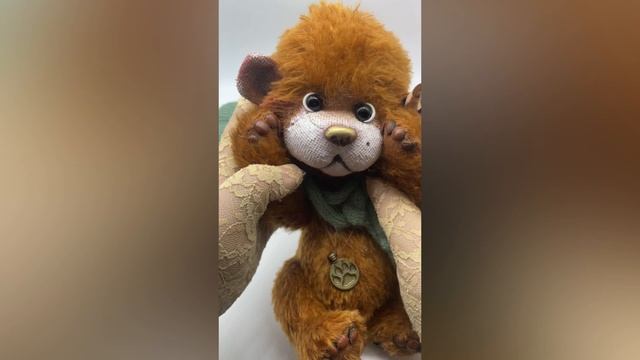 Новый мишка готов к усыновлению.