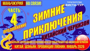 Шэньян. Китай. Часть 4. Крупнейший в северном Китае оптовый рынок Уай. Китайский черкизон .