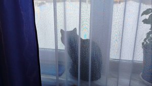 Я залипла🫣 Рот лучше держать закрытым😆