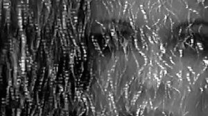 Fleur - Формалин