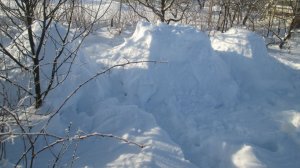 Зимовка пчел под снегом