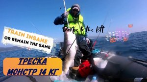 РЫБАЛКА В ТУМАНЕ , ТРЕСКА НА 14.70 КГ , КАМБАЛА . 10.04.25. НАХОДКА.🔥🐟🏅