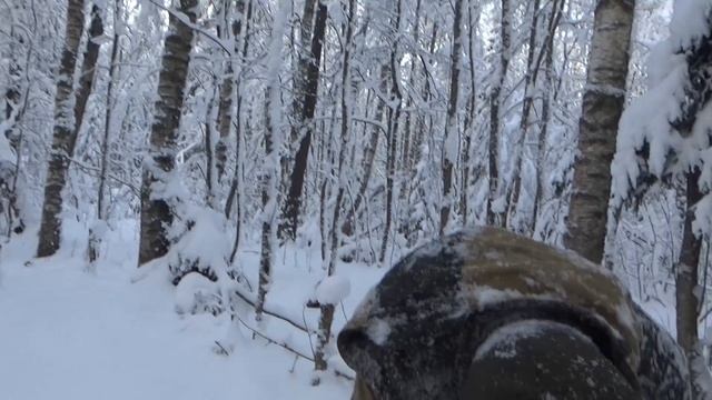 Зимний однодневный поход в Лесколово с якутским ножом