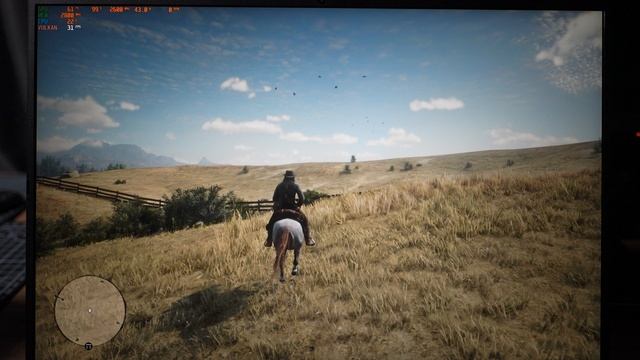 RDR2 (1920х1080, LOW, MonoDDR5)