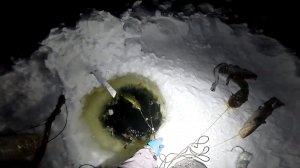 Рыбалка у чёрной дыры. Ловля налима. Тридцать седьмая серия.