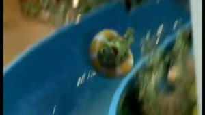 Реклама Ква-ква парк (НТВ, январь 2011)