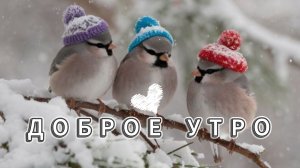 Доброе зимнее утро! Открытки с пожеланиями