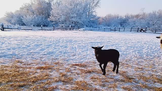 СТРАШНАЯ ИСТОРИЯ НАШЕГО ХУТОРА. КАК ПОСЛЕ ЭТОГО БУДЕМ ЖИТЬ!!!