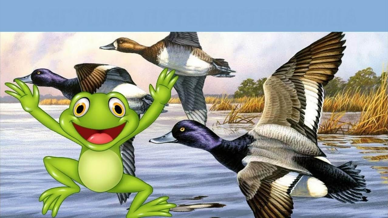 Анекдоты смотреть онлайн