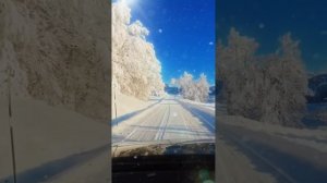 А ты ведь мог Любовь не предавать