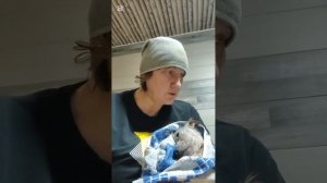 Снежок просится на ручки