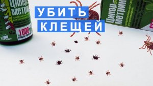 Как уничтожить Клещей: Тест концентрата Циперметрина, разведенного до 0,15 и 0,3%