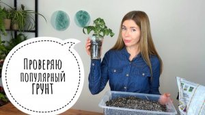 Готовлю идеальный грунт для рассады. Как удалось избавиться от мошек