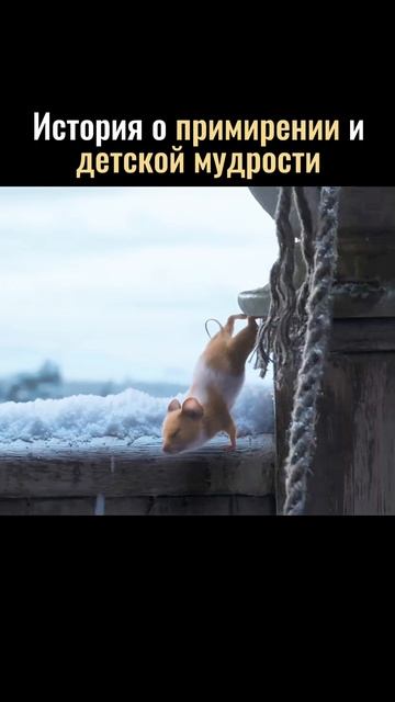 «Мышиный переполох» (2025) 6+. # смотримвместесдетьми#семейнаякомедия# смотреть онлайн