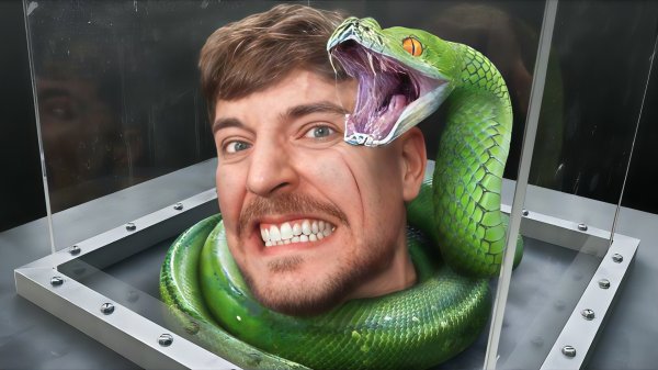 Взгляни в лицо своему страху, чтобы выиграть $800,000. Мистер Бист