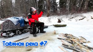 Pioneer для ЩУКИ