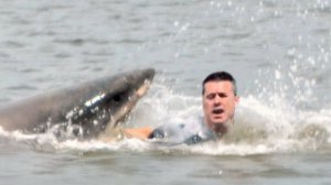 Они зашли в воду и не вышли | Нападение акулы попало на камеру