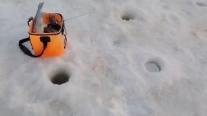 17.01.26 г. РК Волна.