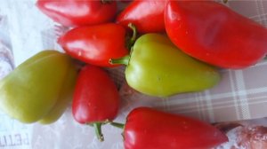 Еда. Перец фаршированный мясом и рисом.