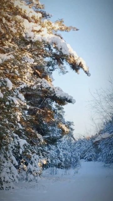 Прогулка в -13