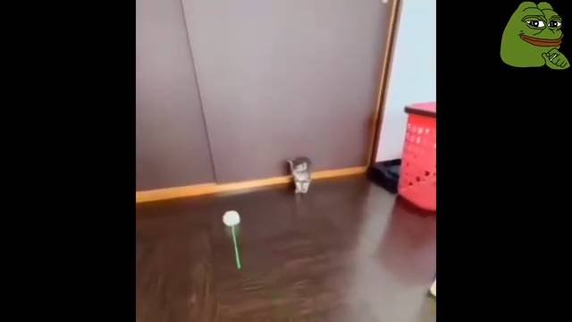 #смешныевидео -687 смотреть онлайн