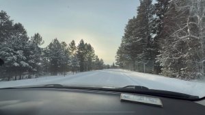 Влог. Прогулка по лесу. Готовим гуся. В гости к сватам. Грузинский ресторан. Январь 2026