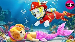 Щенячий патруль и Маршалл. Залипательное видео. Мультфильм для детей и малышей. Анимация 81