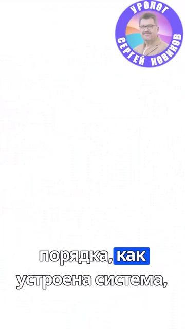 Простата: просто о непростом