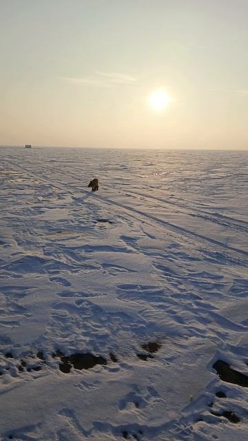 рыбалка на красноярском водохранилище