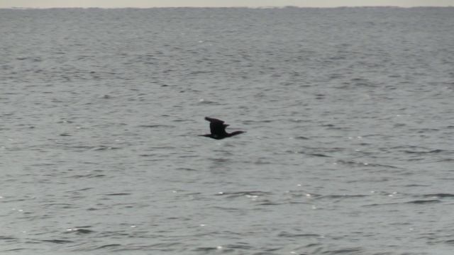 Стихия Вода https://ya.cc/8aCnhy смотреть онлайн