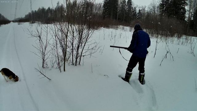 Охота на зайца часть 2 смотреть онлайн