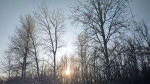 Мороз красный нос