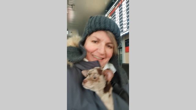 Большая история в двух словах смотреть онлайн