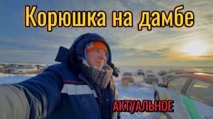 Корюшка атакует! Январь 2026 Лютый клёв, дамба, Финский залив #Корюшка