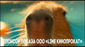 Рекламный Спонсор «Капибара» (19.01.2026-01.06.2026)