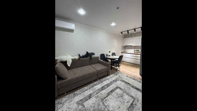 0118 (31) смотреть онлайн