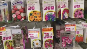 Закупка и обзор семян к огородному сезону//обзор покупок из Ашана и Светофора.