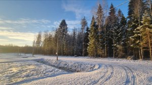 СНТ "СИНИЧКИ"